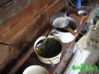 PICT2544.JPG