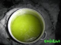 PICT2559.JPG