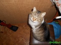 DSCN3779.JPG