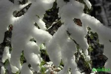 IMG_4230.JPG