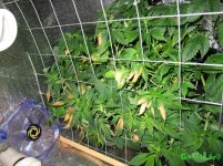 IMG_0262.JPG