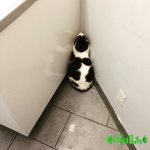 QPNdO-1DdvY.jpg
