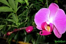 IMG_0291 1.jpg