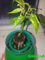 20151128_072955.jpg