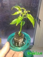20151128_073028.jpg