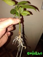 20151129_160033.jpg