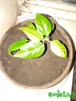 20151129_160433.jpg
