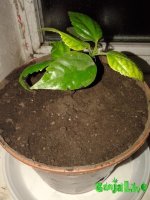 20151129_160440.jpg