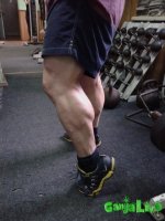 20150208_151248.jpg