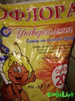 20151130_203219.jpg