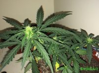 2015-12-02 22-09-13.JPG