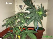 2015-12-02 22-09-52_22-16-33.JPG