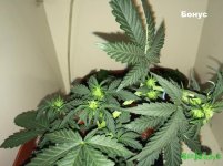 2015-12-02 22-10-00_22-16-06.JPG