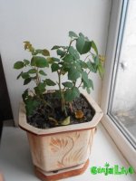 DSCN3848.JPG