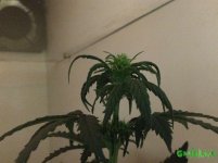 2015-12-04 21-30-44.JPG