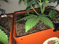 2015-12-04 21-30-51.JPG