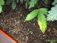 2015-12-04 21-42-59.JPG