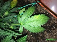 2015-12-04 21-43-15.JPG