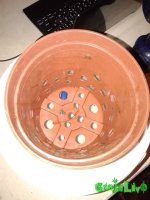 20151209_183555.jpg