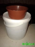 20151209_183608.jpg