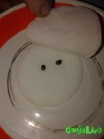 20151213_084608.jpg 20151213_084608.jpg