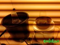 20151213_111153.jpg 20151213_111153.jpg