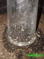 20151215_220524.jpg