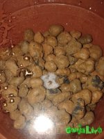 20151215_220542.jpg