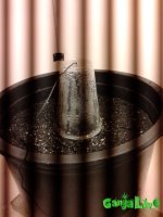 20151217_194703.jpg