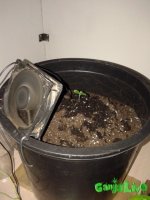 20151218_221448.jpg