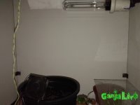 20151218_221522.jpg