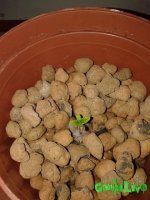 20151221_000416.jpg