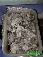 20151223_184123.jpg