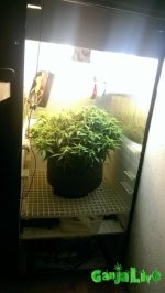 2016-01-04 19.26.45.jpg