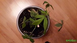 20160105_154301.jpg