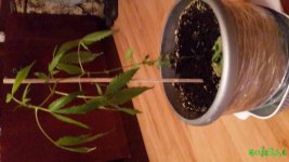 20160105_154338.jpg