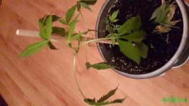 20160105_154429.jpg