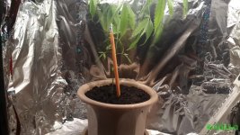 20160106_201852.jpg