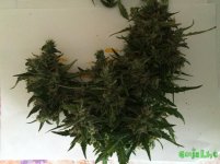 2016-01-06 13-46-57.JPG