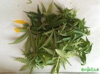 2016-01-06 13-19-54.JPG