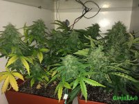 2016-01-04 20-30-14.JPG