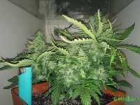 2016-01-04 15-59-19.JPG