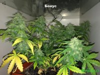 2016-01-04 16-00-41_15-21-08.JPG