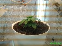 20160111_103321.jpg