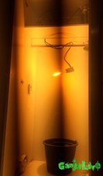 FullSizeRender 2.jpg