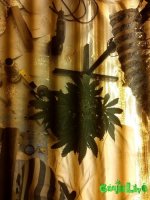 IMG_20160116_112251.jpg