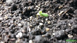 20160117_152248.jpg