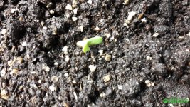 20160117_152259.jpg