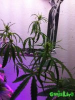 IMG_2016-01-17 22:08:34.jpg