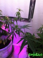 IMG_2016-01-17 22:08:11.jpg